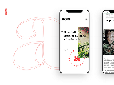 Alegra website