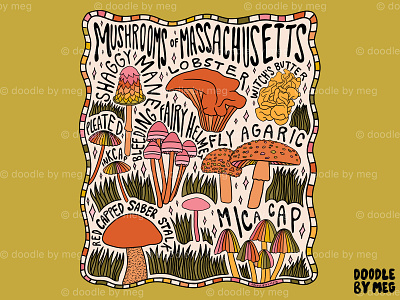 Mushrooms of Massachusetts