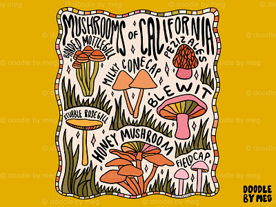 Mushrooms of California 60s 70s california cottage core design drawing forest illustration lettering mushroom mushrooms nature procreate typography vintage