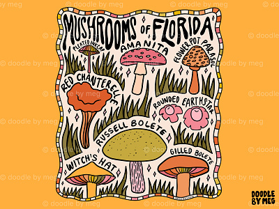 Mushrooms of Florida cottage cottage core design drawing florida forest illustration lettering mushroom mushrooms nature plants procreate typography vintage