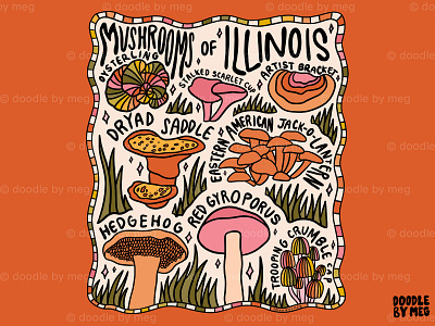Mushrooms of Illinois 60s 70s cottage core design drawing forest illinois illustration leaves lettering mushroom mushrooms nature orange procreate typography vintage