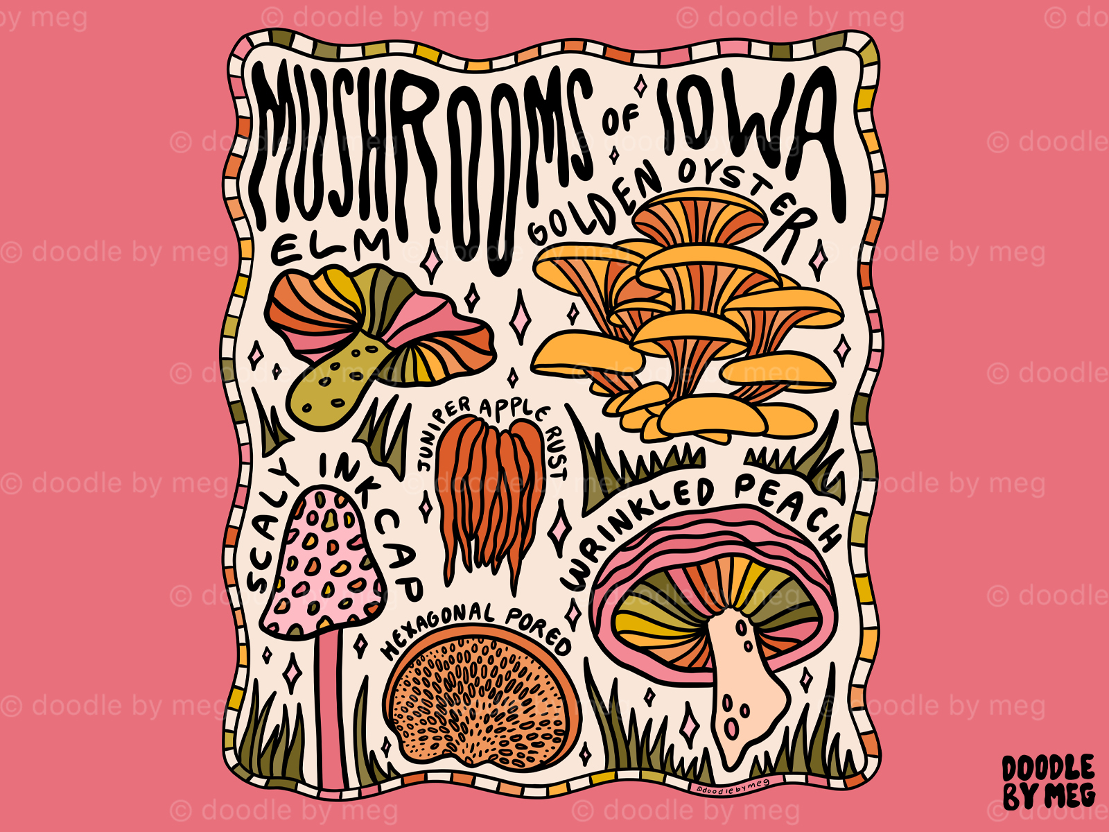 Mushrooms of Iowa 60s 70s cottage core design drawing flowers forest illustration iowa leaves lettering mushroom mushrooms nature plants procreate typography vintage