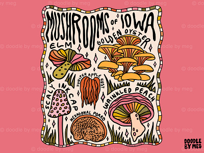 Mushrooms of Iowa 60s 70s cottage core design drawing flowers forest illustration iowa leaves lettering mushroom mushrooms nature plants procreate typography vintage