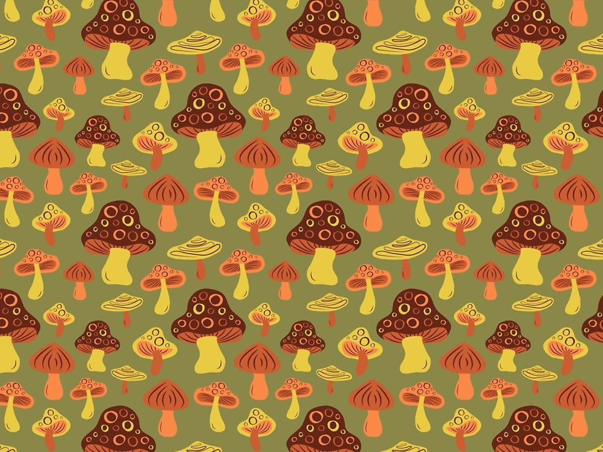 Mushroom Print by Doodle By Meg on Dribbble