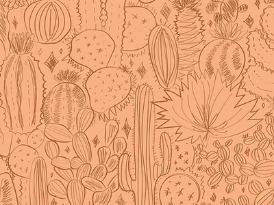 Cactus Scene brush cacti cactus desert design drawing illustration nature orange plant plants prickly pear saguaro sketch succulent tone on tone vector
