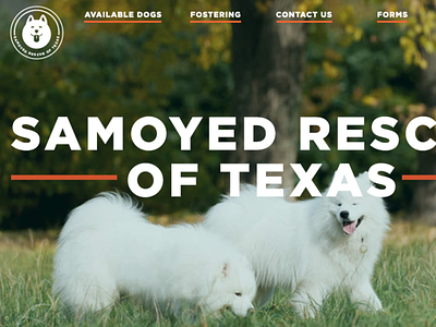 Samoyed Rescue of Texas Redesign branding design dog drawing dreamweaver html illustration index page orange puppy redesign rescue samoyed texas typography vector web website website banner
