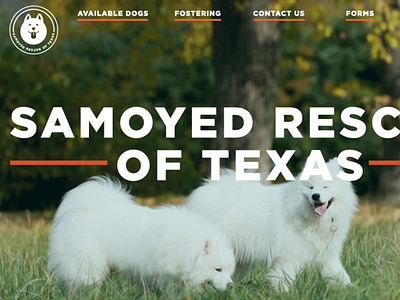 Samoyed Rescue of Texas Redesign