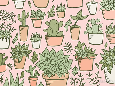 Potted Plants Print cactus design drawing floral flowers green house plants illustration leaves nature orange pattern art pink plants print print and pattern print apparel spring succulent