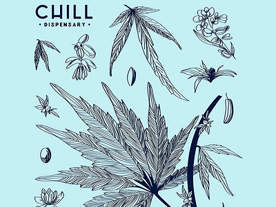 Botanical Illustration for Chill Dispensary botanical botanical art botanical illustration botanicals cannabis cannabis branding cannabis design design dispensary drawing illustration leaves plants tshirt art tshirt design vector weed