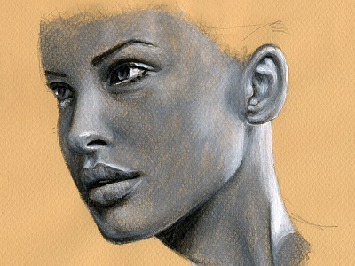 Pixeleiderdown face painting portrait portrait illustration