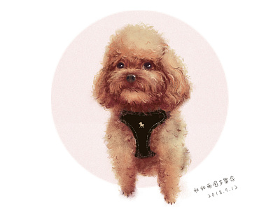 A lovely puppy illustration