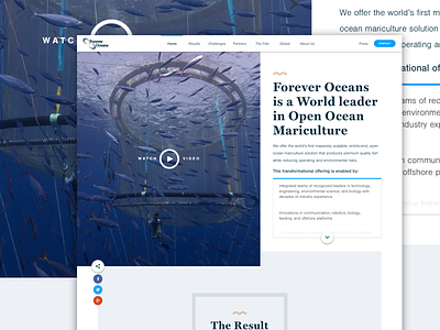 Mariculture Information Site forever oceans info site kevin haag layered ocean web design website