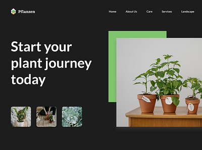 Pflanzen branding branding concept cool design responsive design ux webdesign