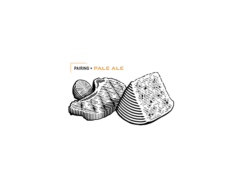 Pairing Pale Ale for Spelta pork lemon cheese illustration engrave pairing bottle craft beer beer lettering
