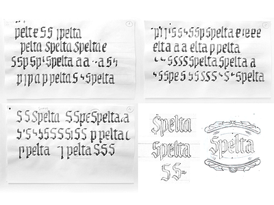 Spelta sketches beer bottle calligraphy craft beer custom type illustrations label lettering logo pairing