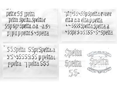 Spelta sketches