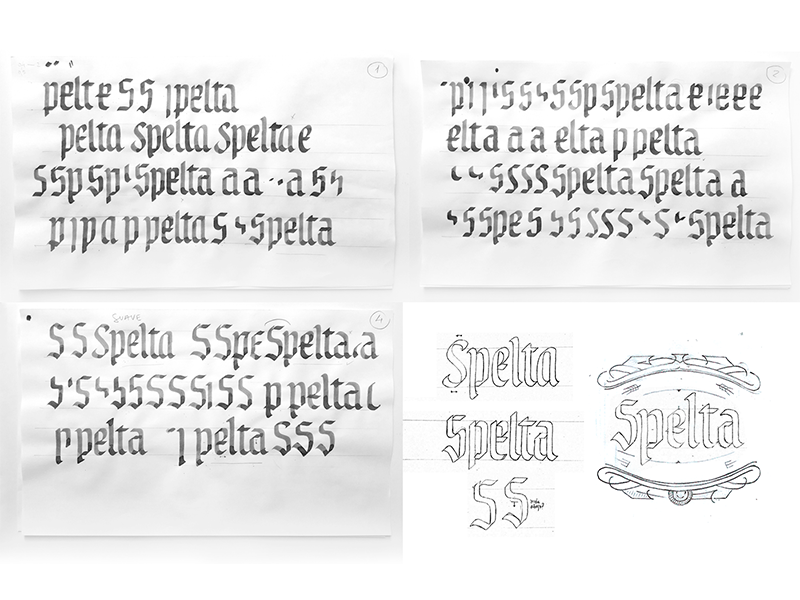 Spelta sketches calligraphy custom type logo label illustrations pairing bottle craft beer beer lettering