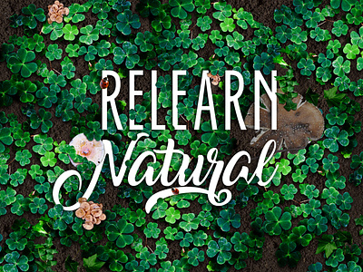 Belvedere Print Campaign_Relearn Natural