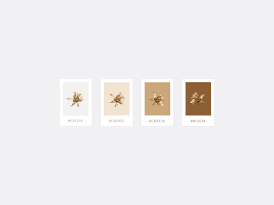 Loam_Nude Colour Palette branding branding and identity branding design browns colour palette design graphicdesign illusrator logo logodesign minimal nude nudes photoshop