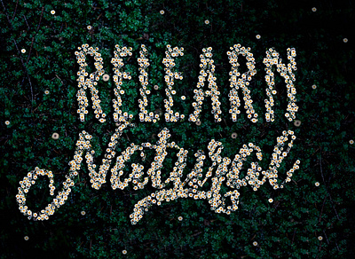 Belvedere Print Campaign_Relearn natural design graphicdesign photshop poster typograph typography