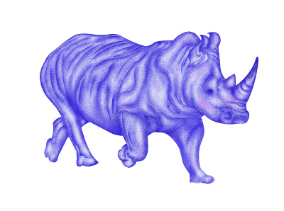 THE RHINO ILLUSTRATION animal animation design digital art graphic design illustration minimal ui ux web website