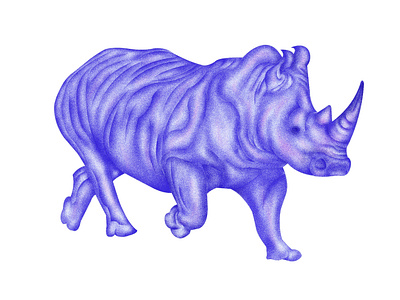 THE RHINO ILLUSTRATION