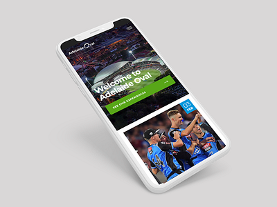 Mobile UI Design for Stadium