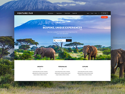 Travel website banner