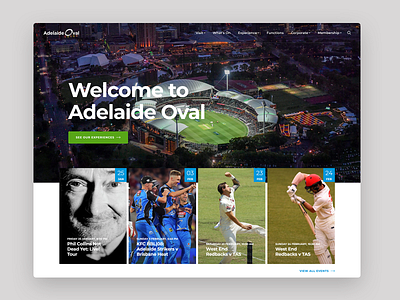 Stadium Website Homepage Design