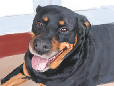 Sadie digital dog photoshop rottweiler tablet wacom