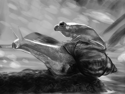 Frog On Snail digital frog grayscale illustration photoshopcs4 snail tablet wacom