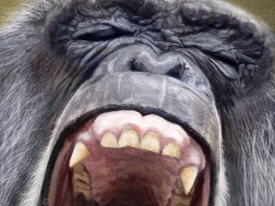 Chimp chimp digital laughing photoshop scream tablet