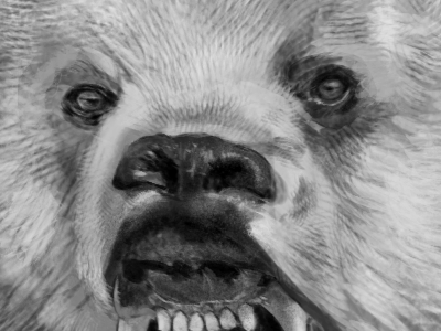 Bear bear brushes digital photoshop tablet wacom