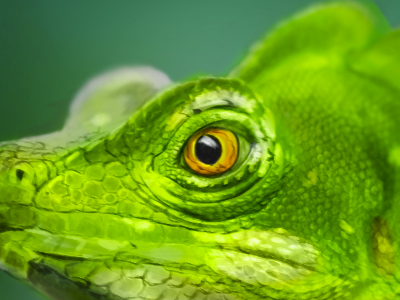 Lizard001 by Art Ramirez on Dribbble