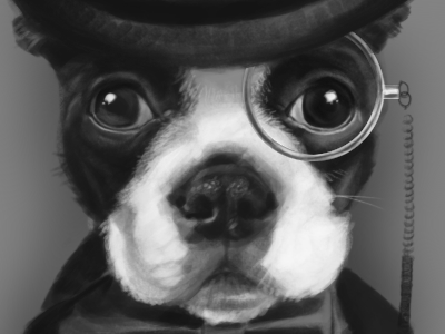 Bt black and white boston terrier bow tie digital eye glass photoshop pup top hat
