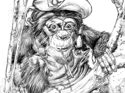 Chimp chimp illustration pencil