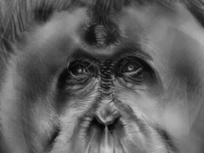 Orangutan digital painting photoshop study