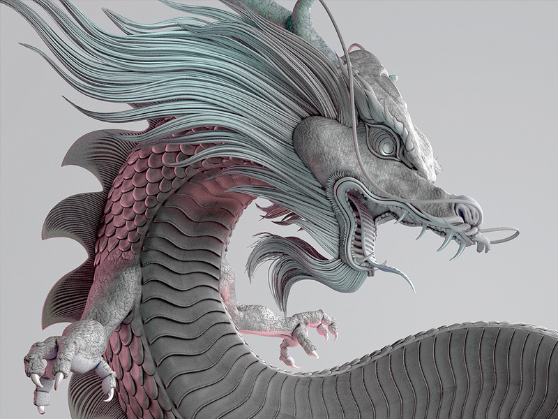 Dragon by David Rivera on Dribbble