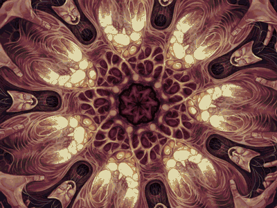 Cortical Homunculus animation brain digital painting experimental motion fractal human body illustration mandala organic psychedelic art structure web