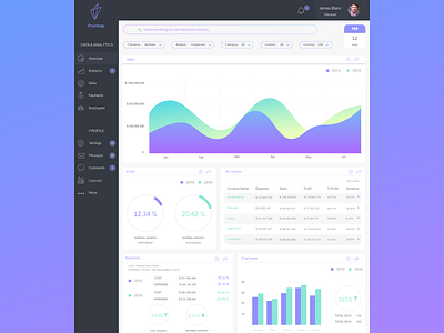 Full-featured business dashboard analytics charts dashboard data infographic interface managment statistics ui ux