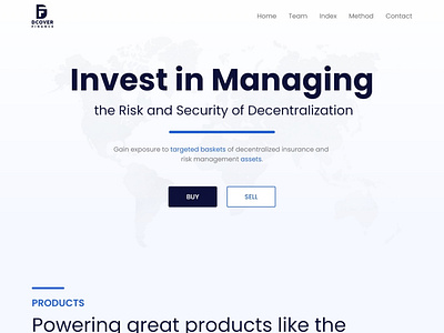 Risk and Security of Decentralization landing page design