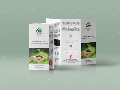 Bonyad Ali Charity Tri-Fold Brochure advertising brand design branding brochure brochure design catalog design charity event design graphic design indesign photoshop tri fold brochure