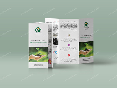 Bonyad Ali Charity Tri-Fold Brochure
