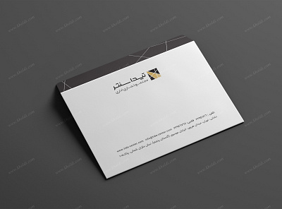 Tida Envelope branding corporate design corporate identity envelope envelope design graphic graphic design illustrator letter letterhead logo design pattern photoshop stationary design stationery voronoi