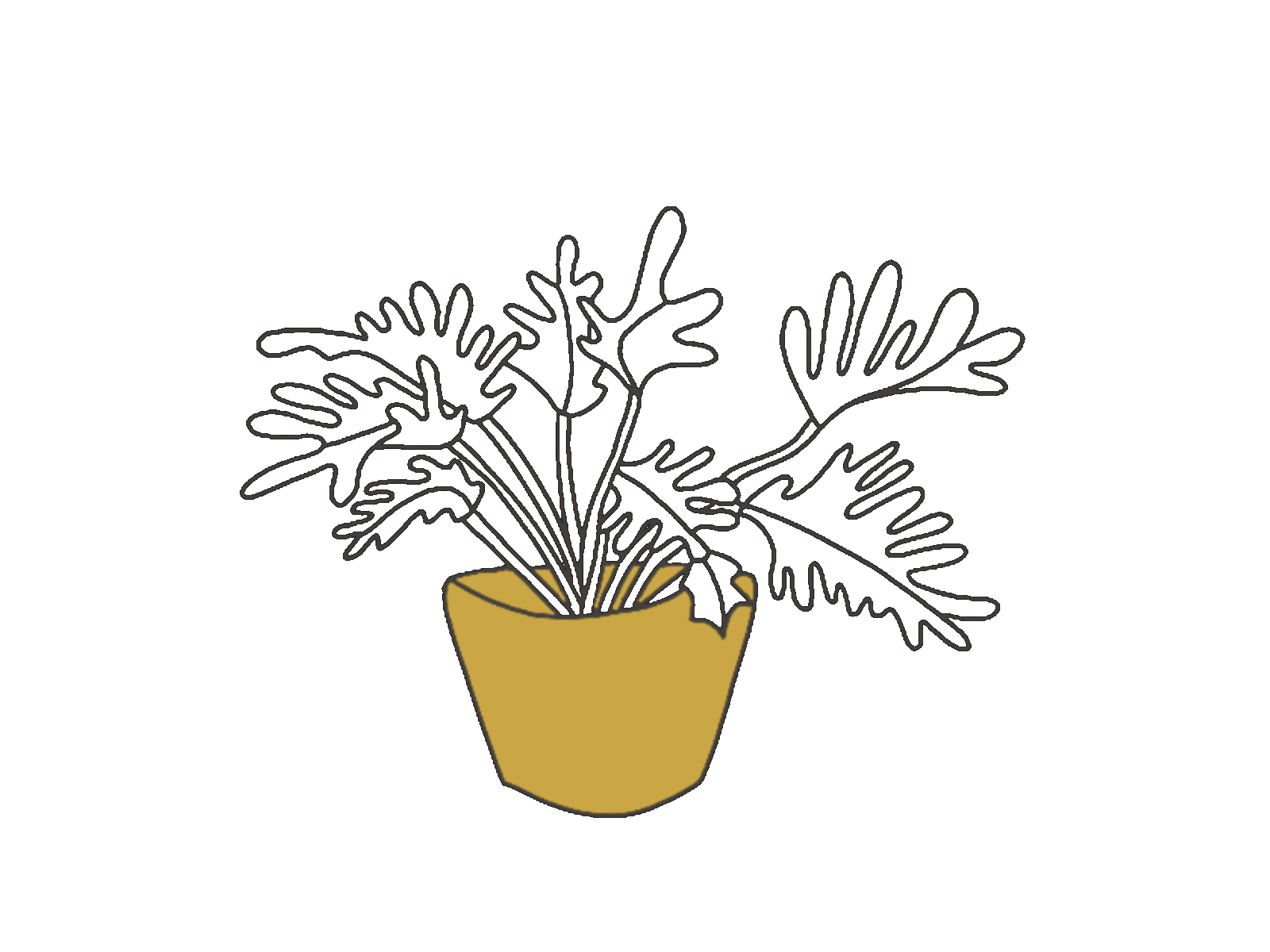 Keep Growing House Plants Illustration 6