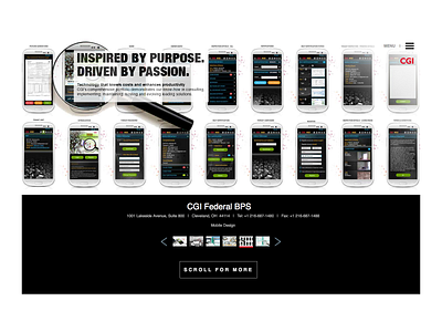 CGI Federal BPS Website branding design ui ux website