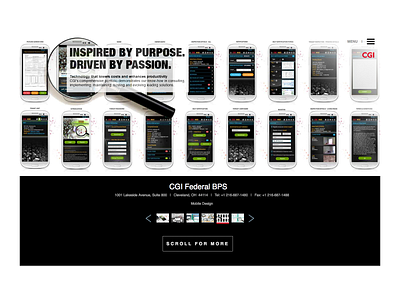 CGI Federal BPS Website