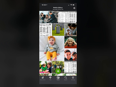 Ancestry App Media Gallery iOS ancestry ancestryapp family tree ios mobile native app