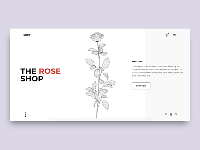 3D Rose in Webflow brand design branding c4d cinema4d design illustration inteface interactive design lottie ui web design webflow