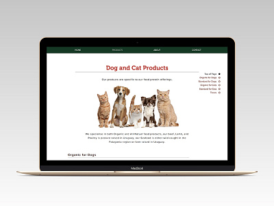 Website - Organic Pet Food branding design interface responsive type typography ui ux ux ui web webdesign website